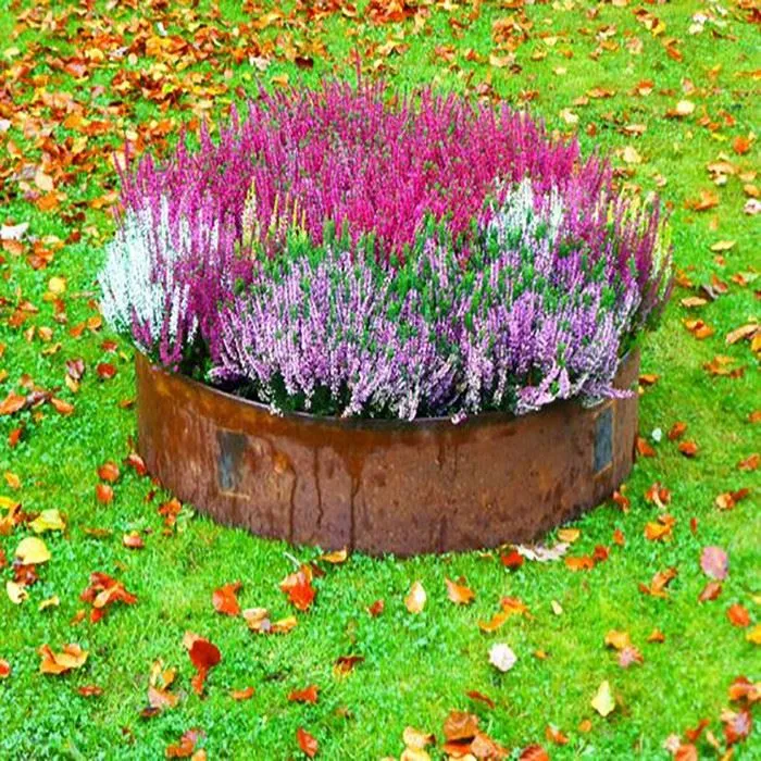 Corten Steel Tree Ring Garden Lawn Edge